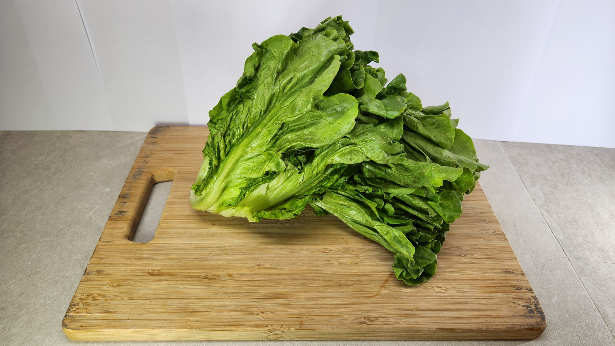 生菜-商品示範圖1